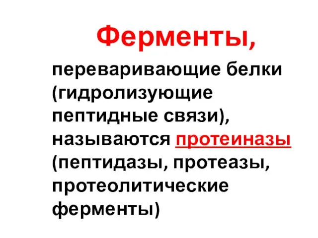 Ферменты, переваривающие белки (гидролизующие пептидные связи), называются протеиназы (пептидазы, протеазы, протеолитические ферменты)