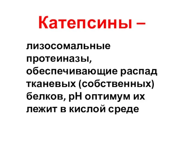 Катепсины – лизосомальные протеиназы, обеспечивающие распад тканевых (собственных) белков, рН оптимум их лежит в кислой среде