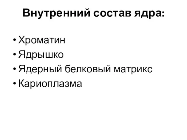 Внутренний состав ядра: Хроматин Ядрышко Ядерный белковый матрикс Кариоплазма