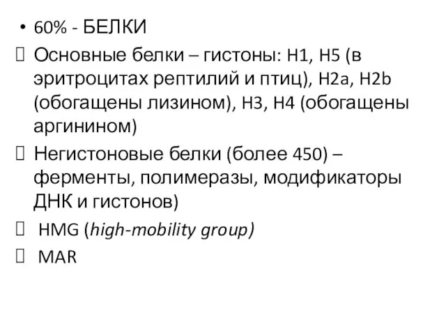 60% - БЕЛКИ Основные белки – гистоны: H1, H5 (в эритроцитах