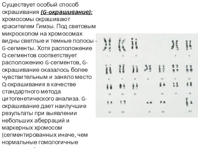 Существует особый способ окрашивания (G-окрашивание): хромосомы окрашивают красителем Гимзы. Под световым