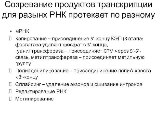 Созревание продуктов транскрипции для разынх РНК протекает по разному мРНК Кэпирование