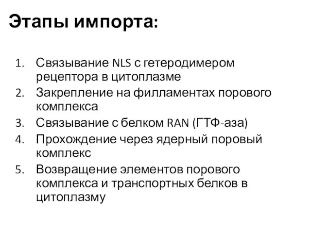 Этапы импорта: Связывание NLS с гетеродимером рецептора в цитоплазме Закрепление на