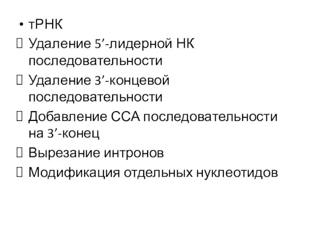 тРНК Удаление 5’-лидерной НК последовательности Удаление 3’-концевой последовательности Добавление ССА последовательности