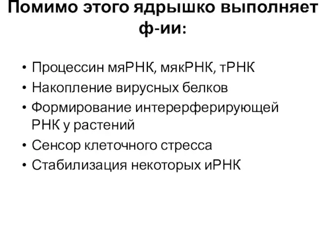 Помимо этого ядрышко выполняет ф-ии: Процессин мяРНК, мякРНК, тРНК Накопление вирусных