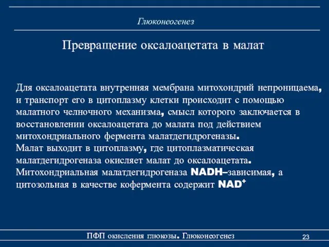 Глюконеогенез Превращение оксалоацетата в малат Для оксалоацетата внутренняя мембрана митохондрий непроницаема,