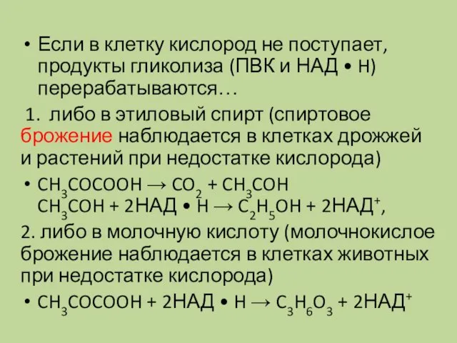 Если в клетку кислород не поступает, продукты гликолиза (ПВК и НАД