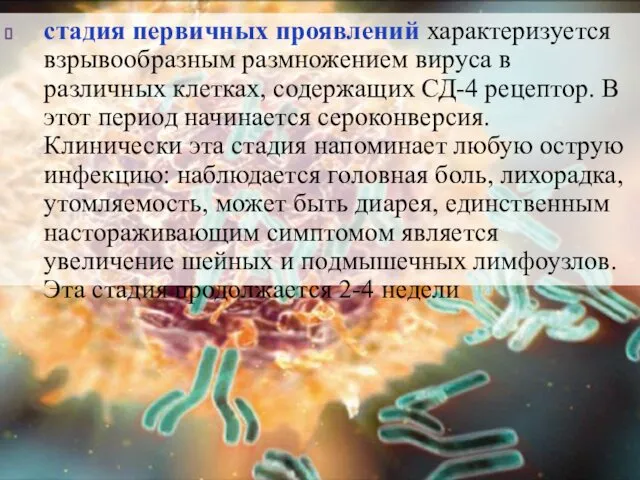 стадия первичных проявлений характеризуется взрывообразным размножением вируса в различных клетках, содержащих