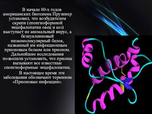 В начале 80-х годов американских биохимик Прузинер установил, что возбудителем скрепи