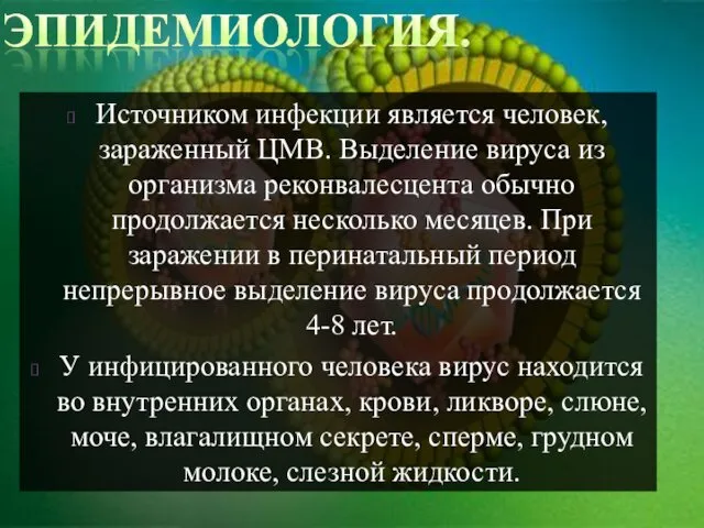 Источником инфекции является человек, зараженный ЦМВ. Выделение вируса из организма реконвалесцента