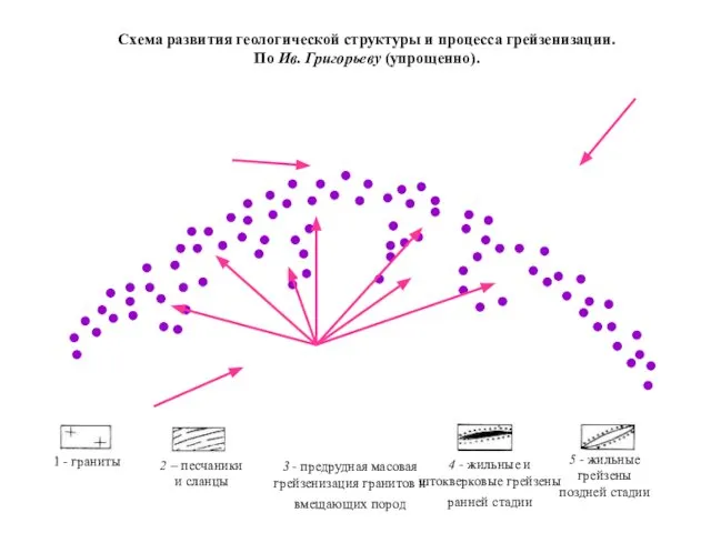 3 - предрудная масовая грейзенизация гранитов и вмещающих пород Схема развития