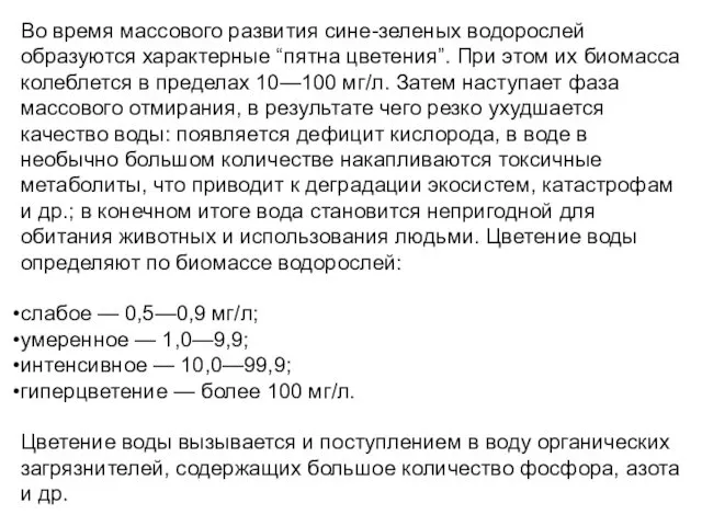 Во время массового развития сине-зеленых водорослей образуются характерные “пятна цветения”. При