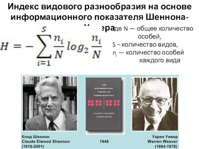 где N — общее количество особей, S – количество видов, ni