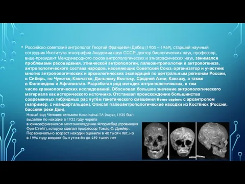 Российско-советский антрополог Георгий Францевич Дебец (1905 – 1969), старший научный сотрудник