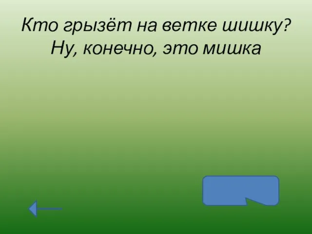 Кто грызёт на ветке шишку? Ну, конечно, это мишка белка