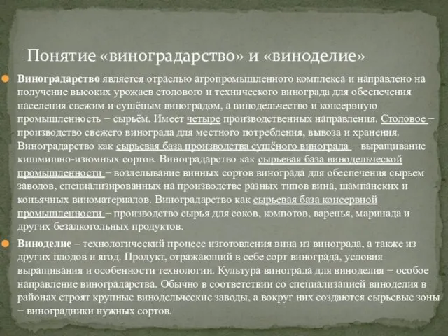 Виноградарство является отраслью агропромышленного комплекса и направлено на получение высоких урожаев