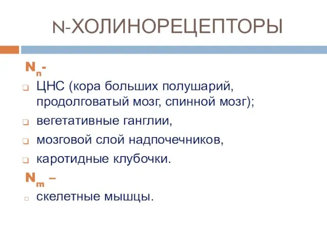 N-ХОЛИНОРЕЦЕПТОРЫ Nn- ЦНС (кора больших полушарий, продолговатый мозг, спинной мозг); вегетативные