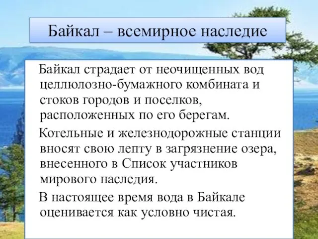 Байкал – всемирное наследие Байкал страдает от неочищенных вод целлюлозно-бумажного комбината