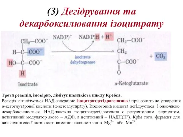 (3) Дегідрування та декарбоксилювання ізоцитрату Третя реакція, імовірно, лімітує швидкість циклу