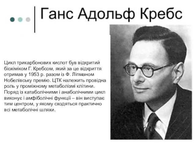 Цикл трикарбонових кислот був відкритий біохіміком Г. Кребсом, який за це