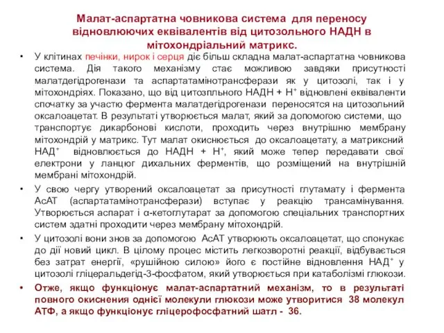 Малат-аспартатна човникова система для переносу відновлюючих еквівалентів від цитозольного НАДН в