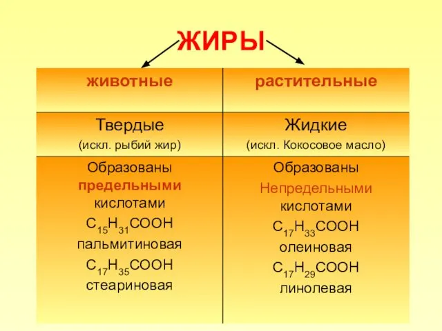 ЖИРЫ