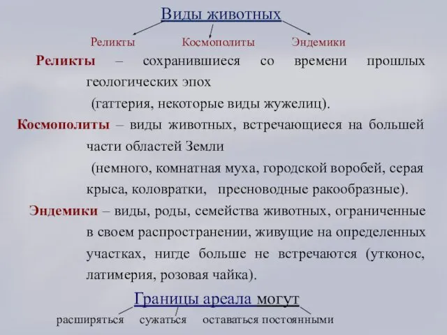 Виды животных Реликты Космополиты Эндемики Реликты – сохранившиеся со времени прошлых