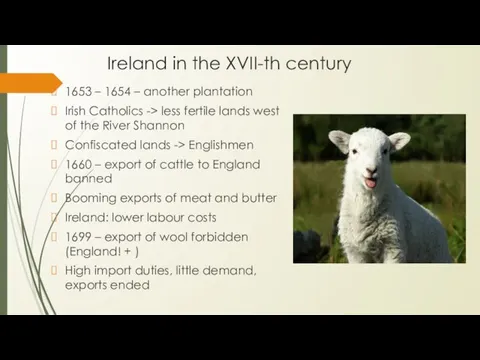 Ireland in the XVII-th century 1653 – 1654 – another plantation