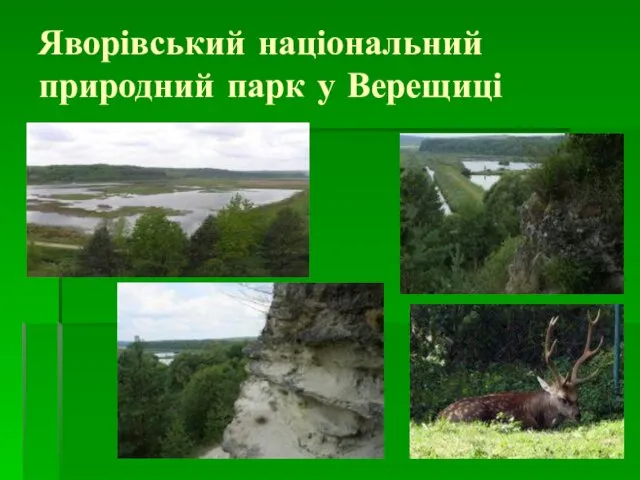 Яворівський національний природний парк у Верещиці