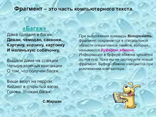 Фрагмент – это часть компьютерного текста. «Багаж» Дама сдавала в багаж: