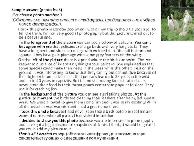 Sample answer (photo № 3) I've chosen photo number 3. (Обязательно