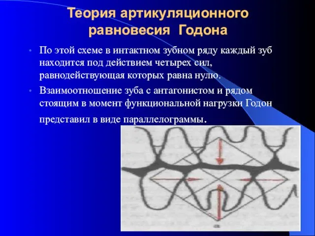 Теория артикуляционного равновесия Годона По этой схеме в интактном зубном ряду