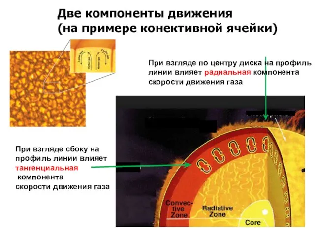 Две компоненты движения (на примере конективной ячейки) При взгляде по центру