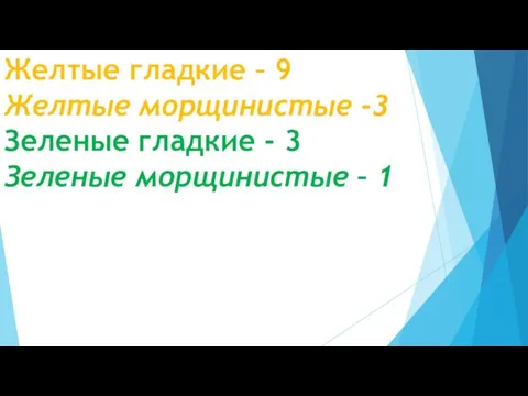 Желтые гладкие – 9 Желтые морщинистые -3 Зеленые гладкие - 3 Зеленые морщинистые – 1