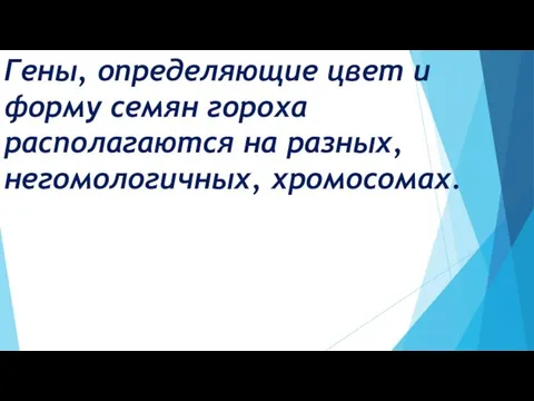 Гены, определяющие цвет и форму семян гороха располагаются на разных, негомологичных, хромосомах.