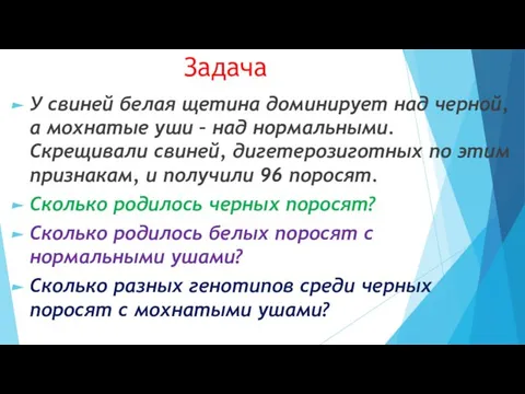 Задача У свиней белая щетина доминирует над черной, а мохнатые уши