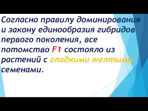 Согласно правилу доминирования и закону единообразия гибридов первого поколения, все потомство