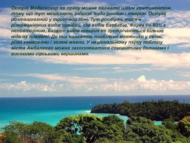 Острів Мадагаскар по праву можна вважати цілим континентом, тому що тут
