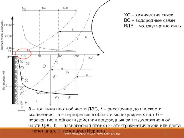 ХС – химические связи ВС – водородные связи ВДВ – молекулярные