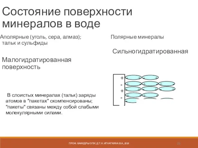 ПРОФ. КАФЕДРЫ ОПИ, Д.Т.Н. ИГНАТКИНА В.А.,2019 Состояние поверхности минералов в воде