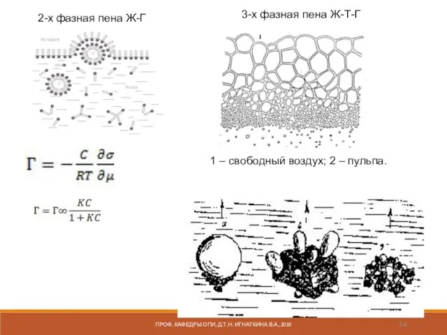 2-х фазная пена Ж-Г 1 – свободный воздух; 2 – пульпа.