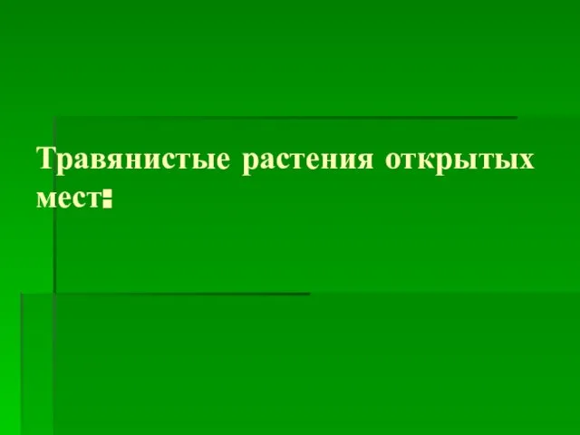 Травянистые растения открытых мест: