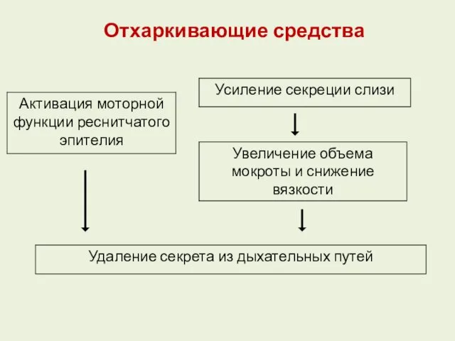 Отхаркивающие средства