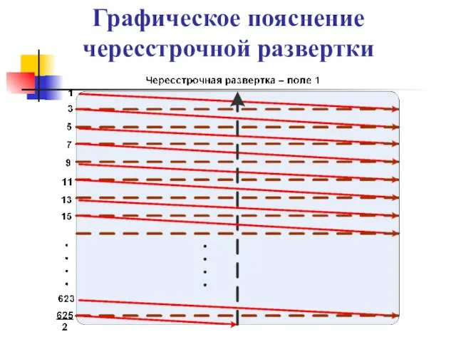 Графическое пояснение чересстрочной развертки