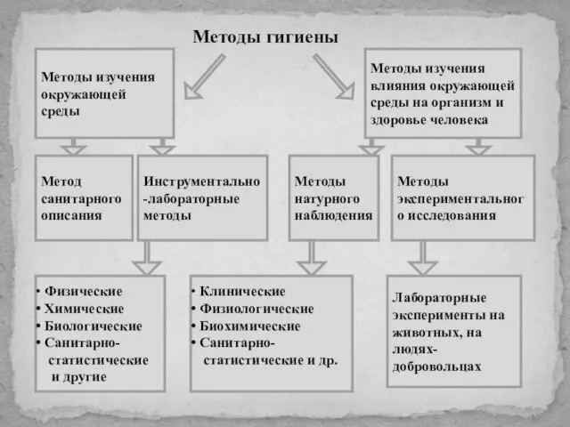 Методы гигиены Методы изучения окружающей среды Методы изучения влияния окружающей среды