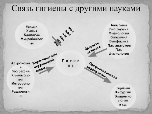 Связь гигиены с другими науками Методы исследования Характеристика окружающей среды Здоровье человека Профилактические мероприятия