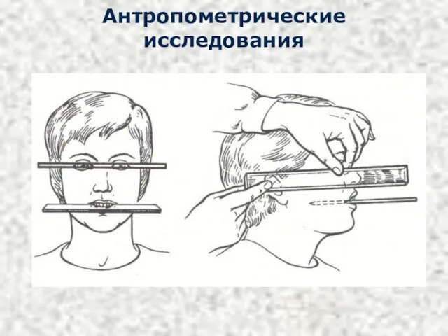 Антропометрические исследования