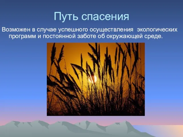 Путь спасения Возможен в случае успешного осуществления экологических программ и постоянной заботе об окружающей среде.