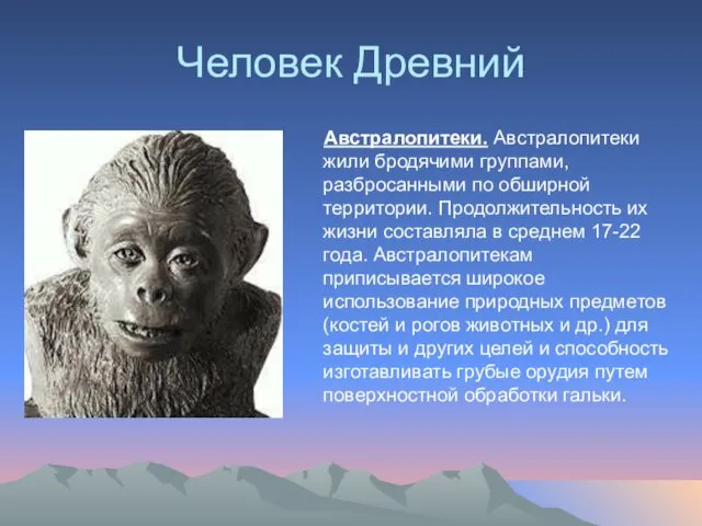 Человек Древний Австралопитеки. Австралопитеки жили бродячими группами, разбросанными по обширной территории.