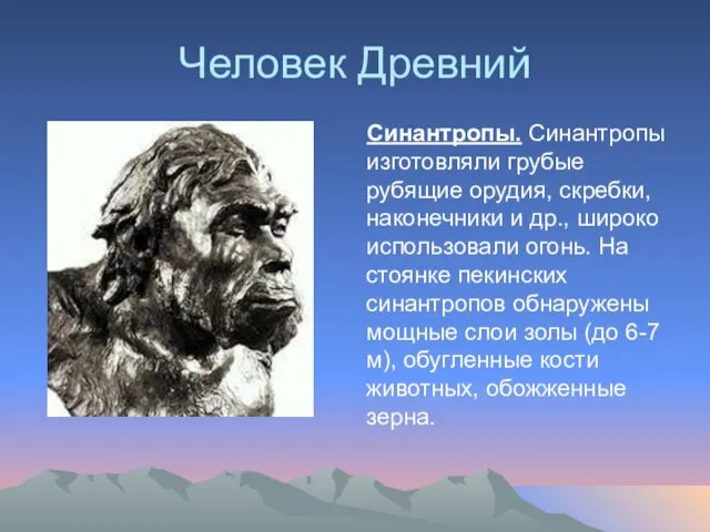 Человек Древний Синантропы. Синантропы изготовляли грубые рубящие орудия, скребки, наконечники и